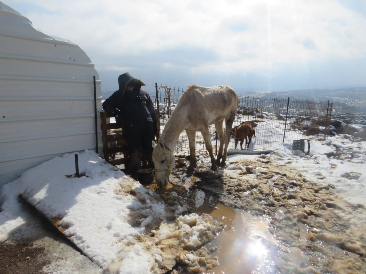 רמת מגרון (צילום: אלישע ירד)